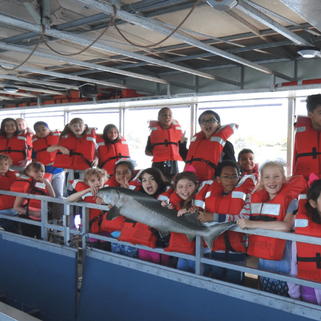 Reimagining Education