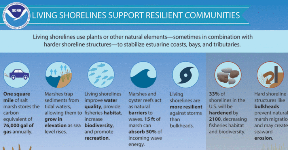 REDI aims to increase resiliency of shoreline communities and bolster economic development.