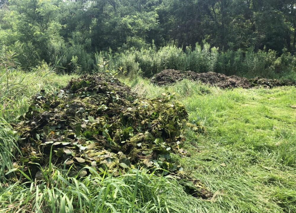 51360194589_8056efc578_o