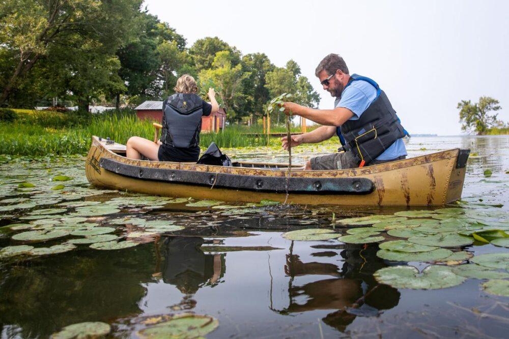 51362415085_0cc030e81d_o