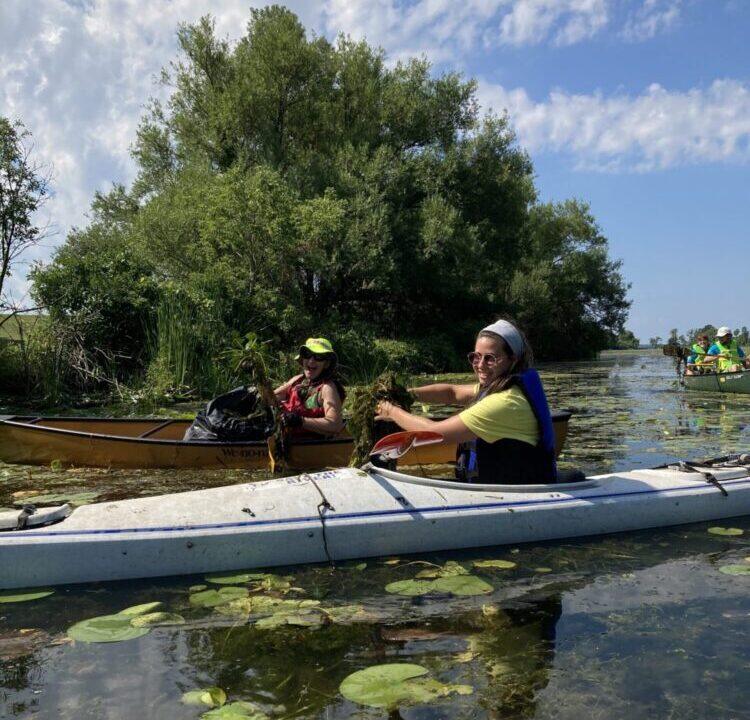 52257230012_6f363b85ae_o