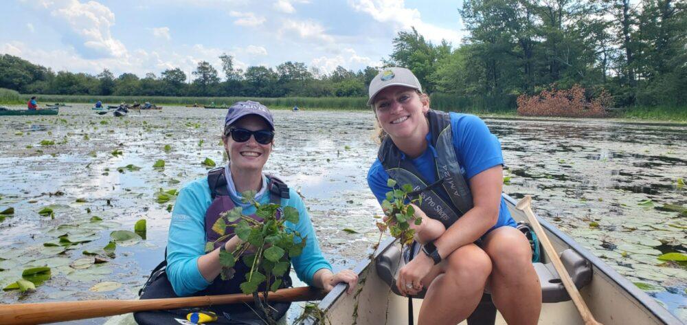 52257323187_5bd8468cb8_o